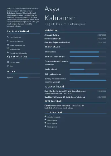 Tekniker ve Teknisyen Cv Örnekleri cv indir
